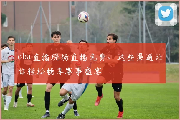 cba直播现场直播免费，这些渠道让你轻松畅享赛事盛宴