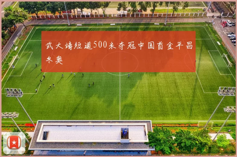 武大靖短道500米夺冠中国首金平昌冬奥